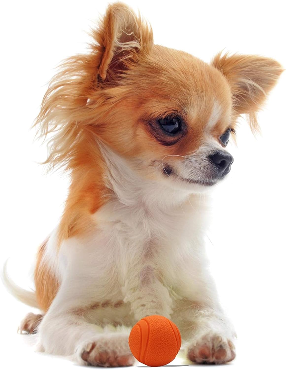Balle en Caoutchouc Résistante pour Chien