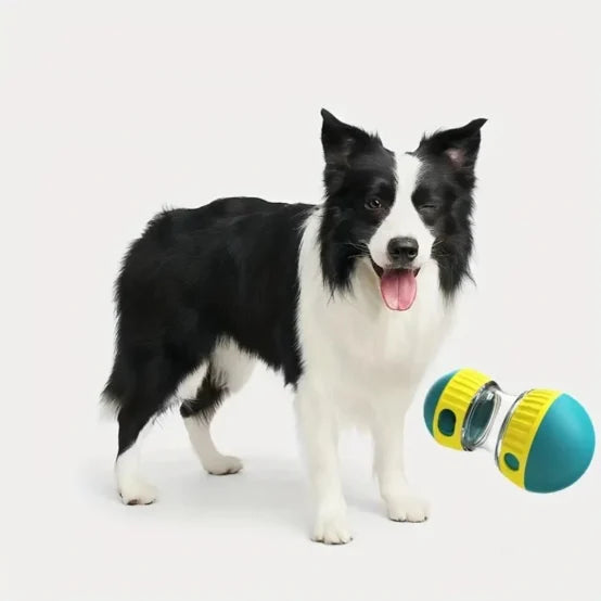 Jouet distributeur - Pour un chien plus vif et actif