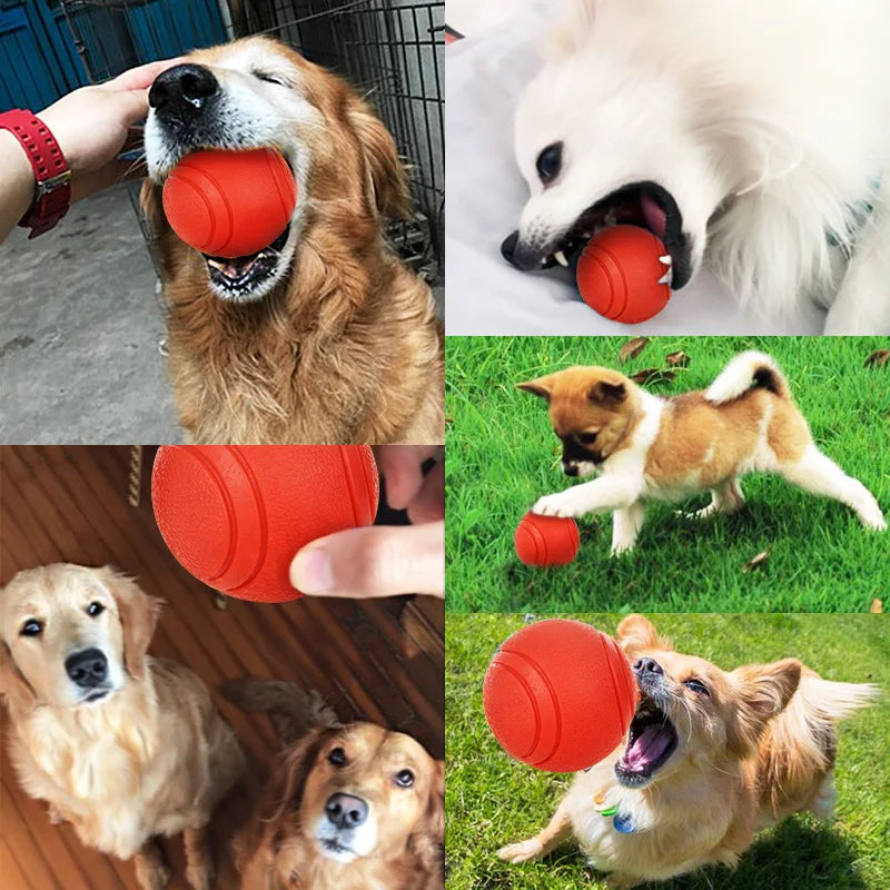 Balle en Caoutchouc Résistante pour Chien