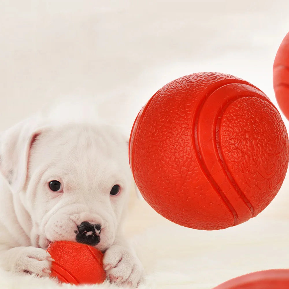 Balle en Caoutchouc Résistante pour Chien