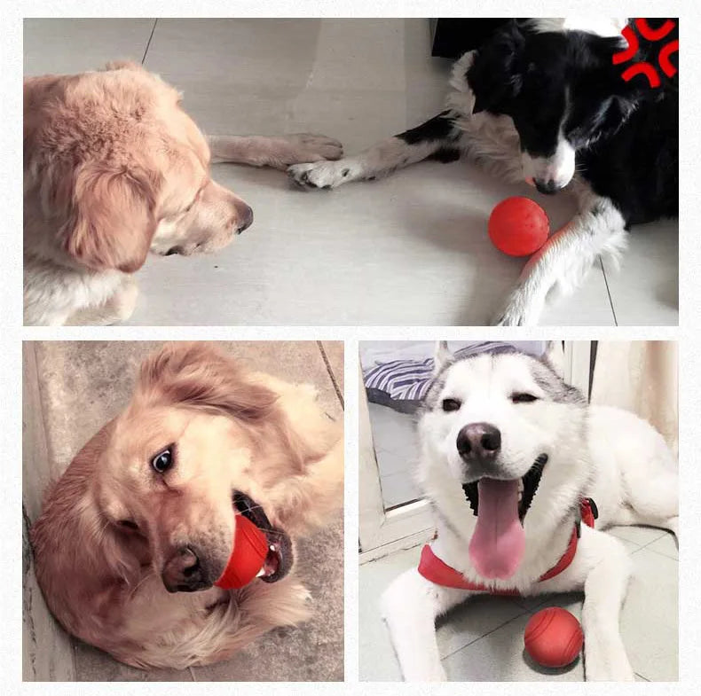Balle en Caoutchouc Résistante pour Chien