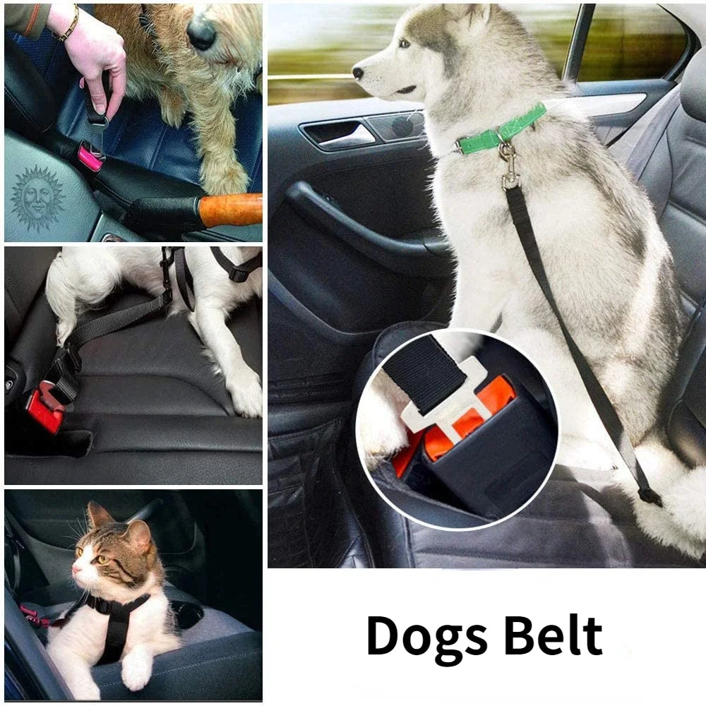Ceinture de Sécurité Ajustable pour Chien
