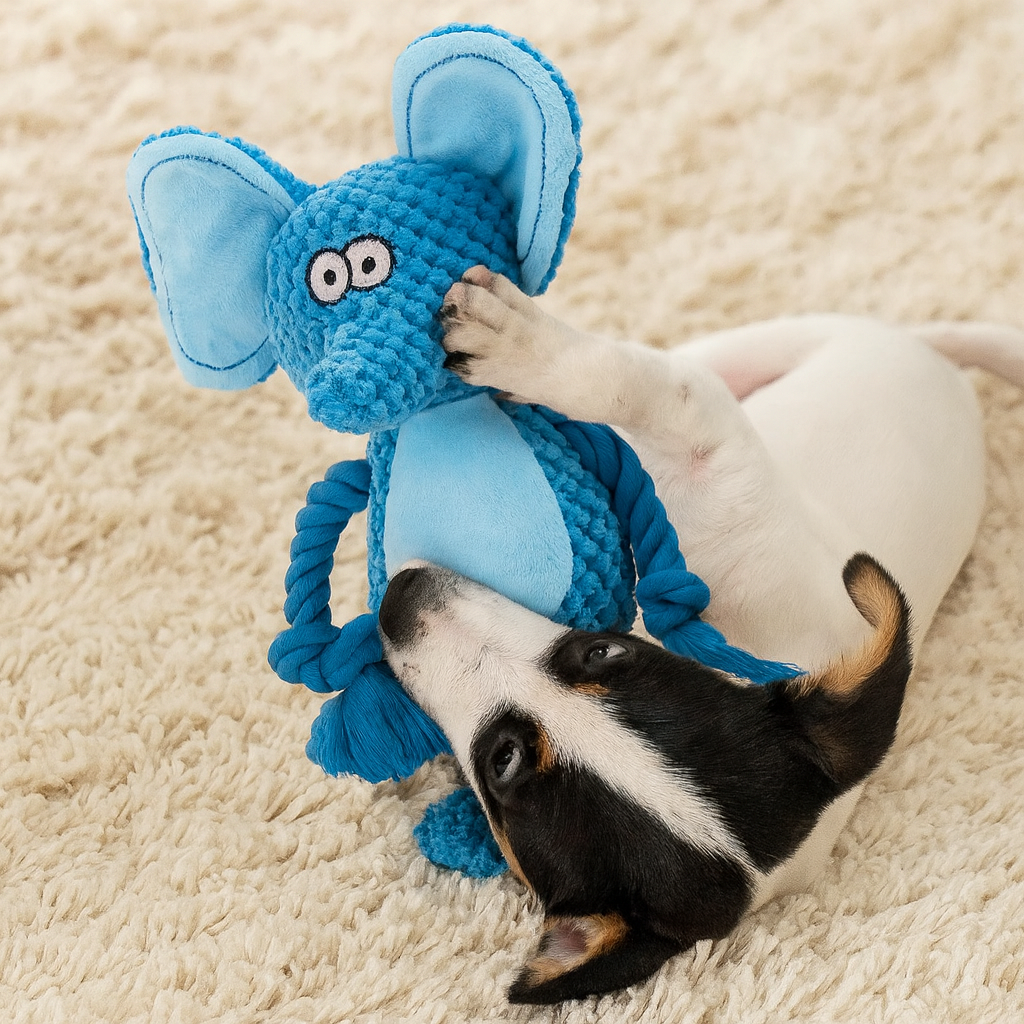 Jouet Sonore en Peluche pour Chien