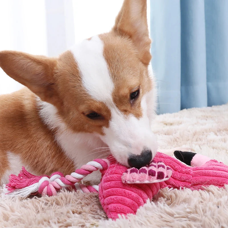 Jouet en Peluche Couinant pour Chien