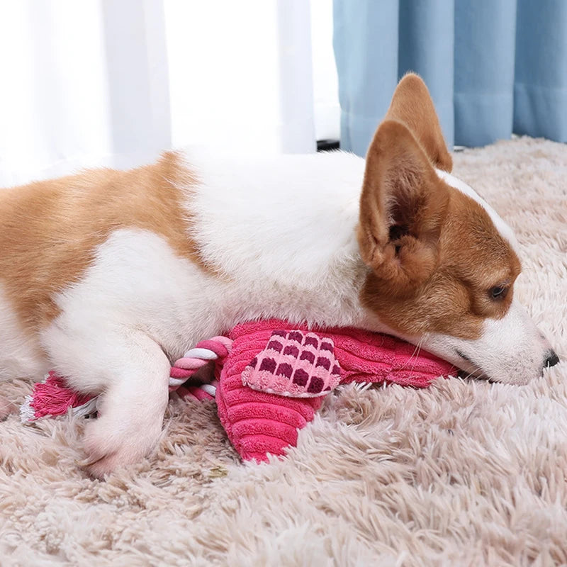 Jouet en Peluche Couinant pour Chien