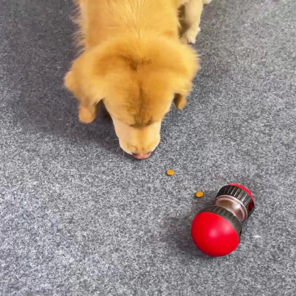 Jouet distributeur - Pour un chien plus vif et actif