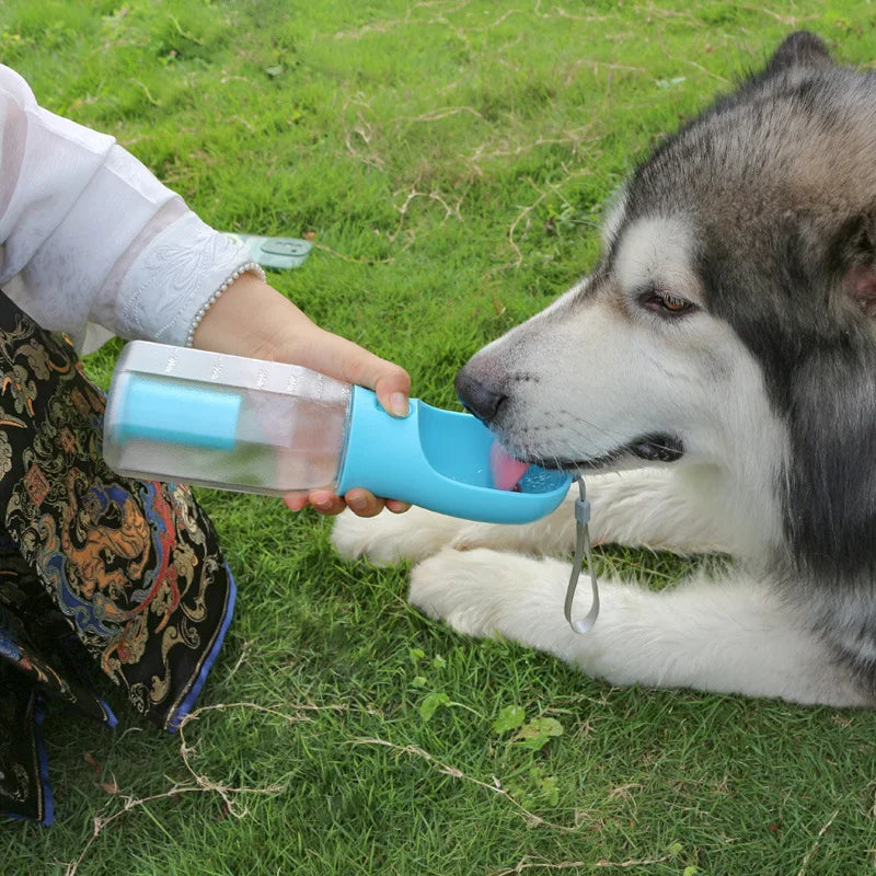 La Gourde Tout-en-Un pour Chien