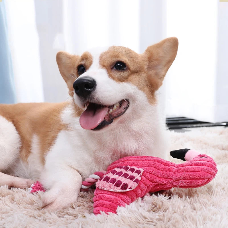 Jouet en Peluche Couinant pour Chien