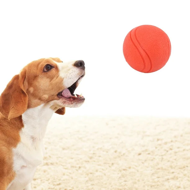 Balle en Caoutchouc Résistante pour Chien