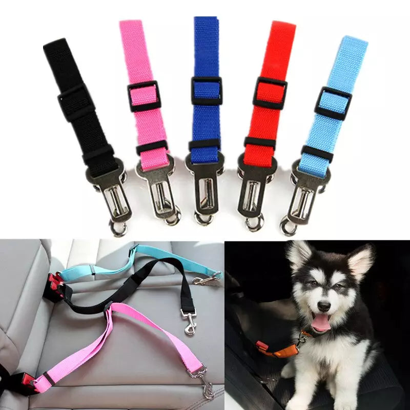 Ceinture de Sécurité Ajustable pour Chien