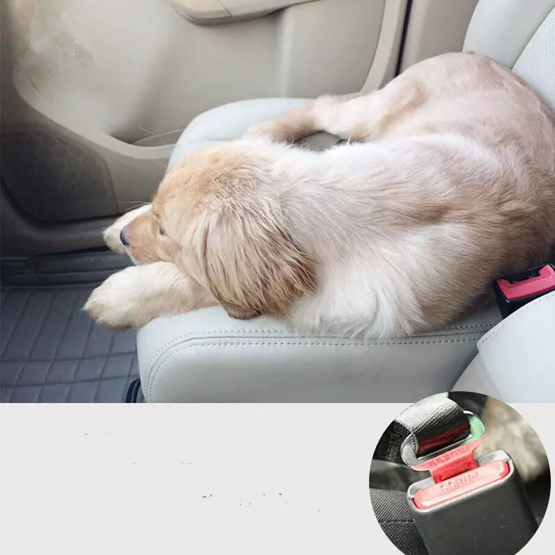 Ceinture de Sécurité Ajustable pour Chien