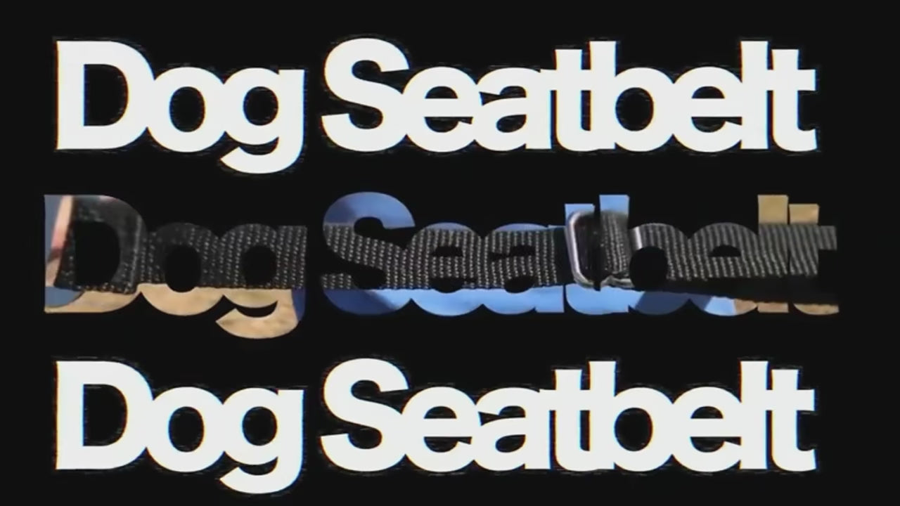 Ceinture de Sécurité Ajustable pour Chien