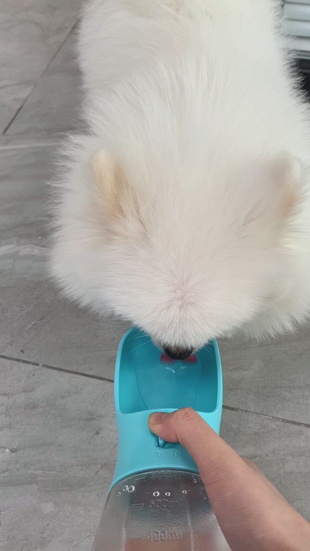 La Gourde Tout-en-Un pour Chien