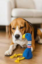 Canard Blanc Long Cou pour Chien