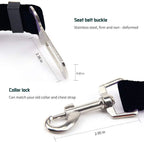 Ceinture de Sécurité Ajustable pour Chien