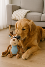 Jouet Sonore en Peluche pour Chien