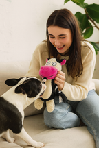 Jouet Sonore en Peluche pour Chien