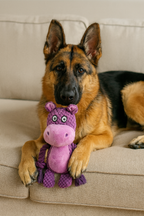 Jouet Sonore en Peluche pour Chien