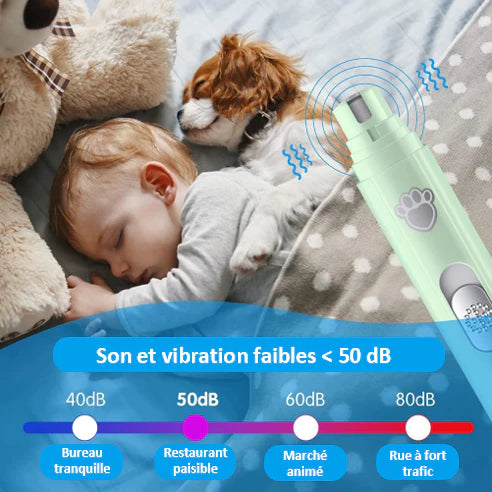 Lime Électrique pour Griffes de Chien