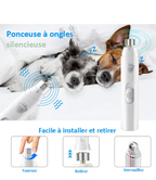 Lime Électrique pour Griffes de Chien