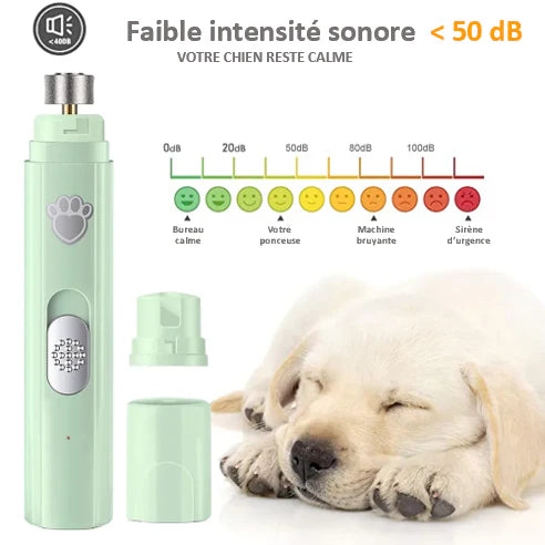 Lime Électrique pour Griffes de Chien