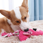 Jouet en Peluche Couinant pour Chien