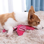 Jouet en Peluche Couinant pour Chien
