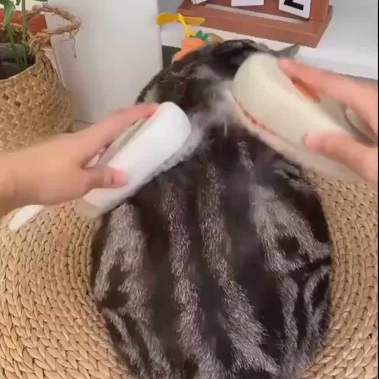 Brosse Électrique 3-en-1 pour Chiens & Chats