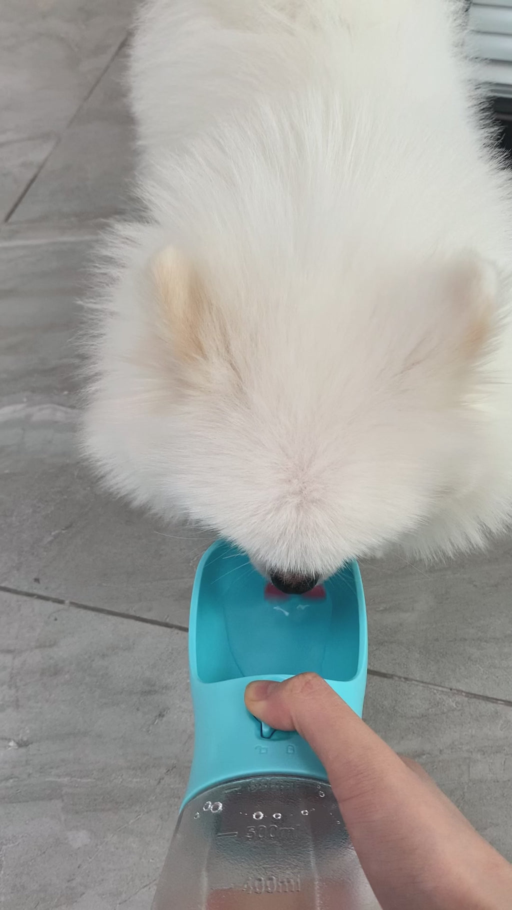 La Gourde Tout-en-Un pour Chien