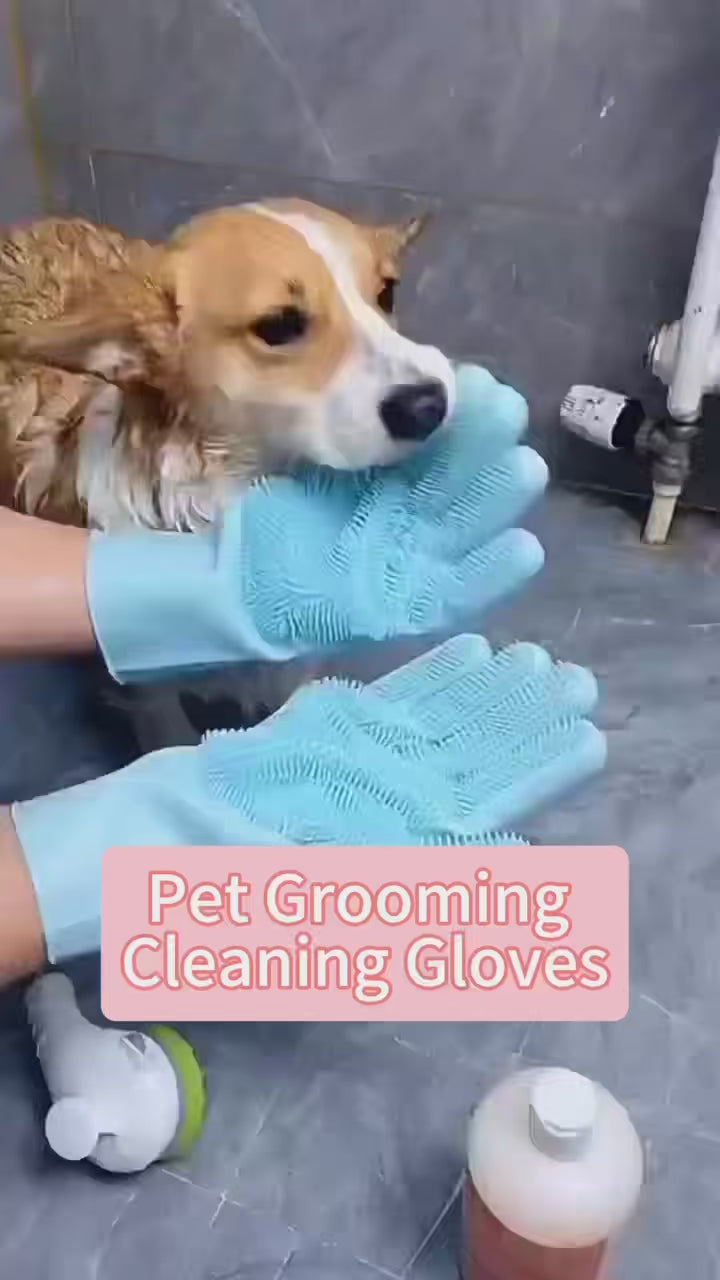Gants de Toilettage en Silicone Écologique