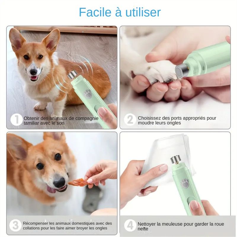 Lime Électrique pour Griffes de Chien