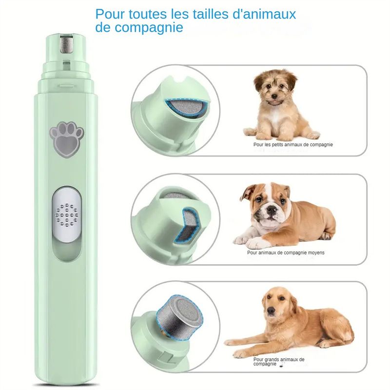 Lime Électrique pour Griffes de Chien