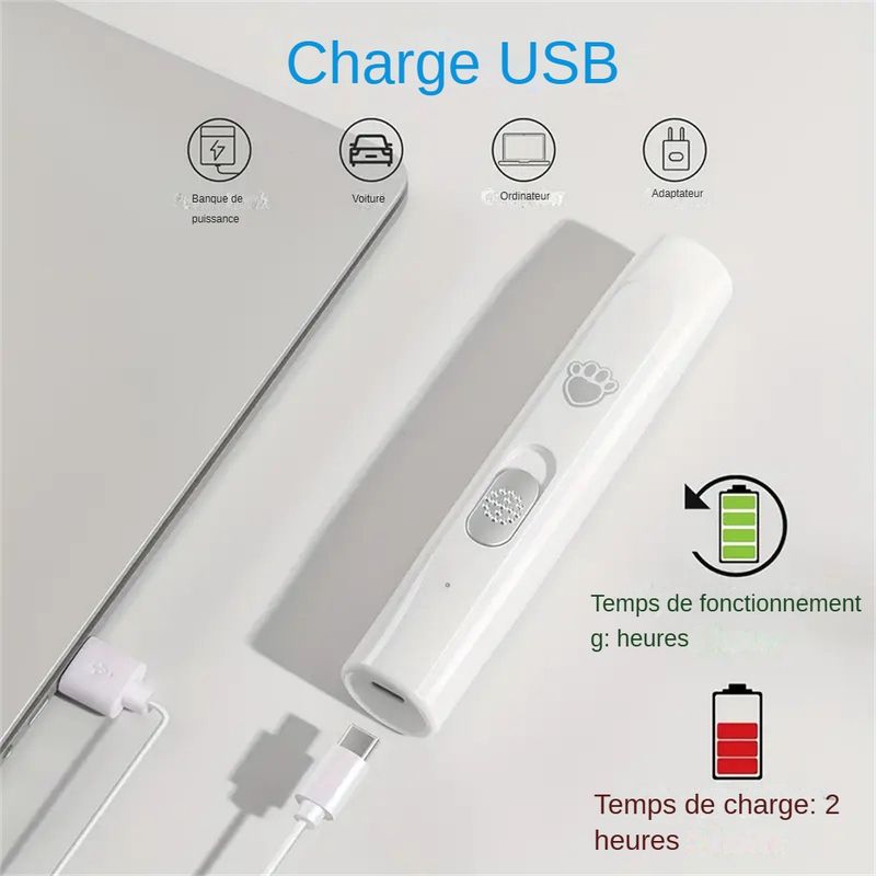 Lime Électrique pour Griffes de Chien